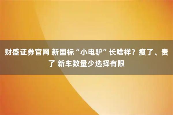财盛证券官网 新国标“小电驴”长啥样？瘦了、贵了 新车数量少选择有限