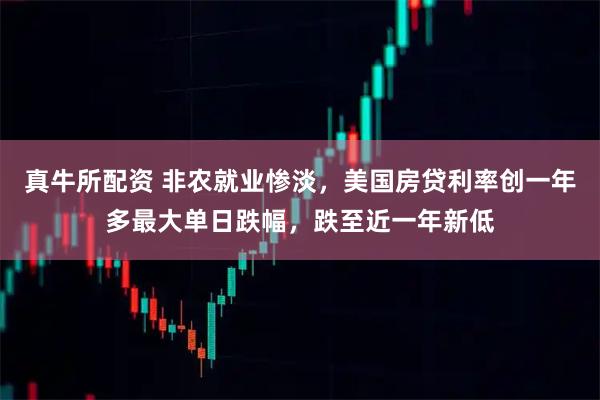 真牛所配资 非农就业惨淡，美国房贷利率创一年多最大单日跌幅，跌至近一年新低